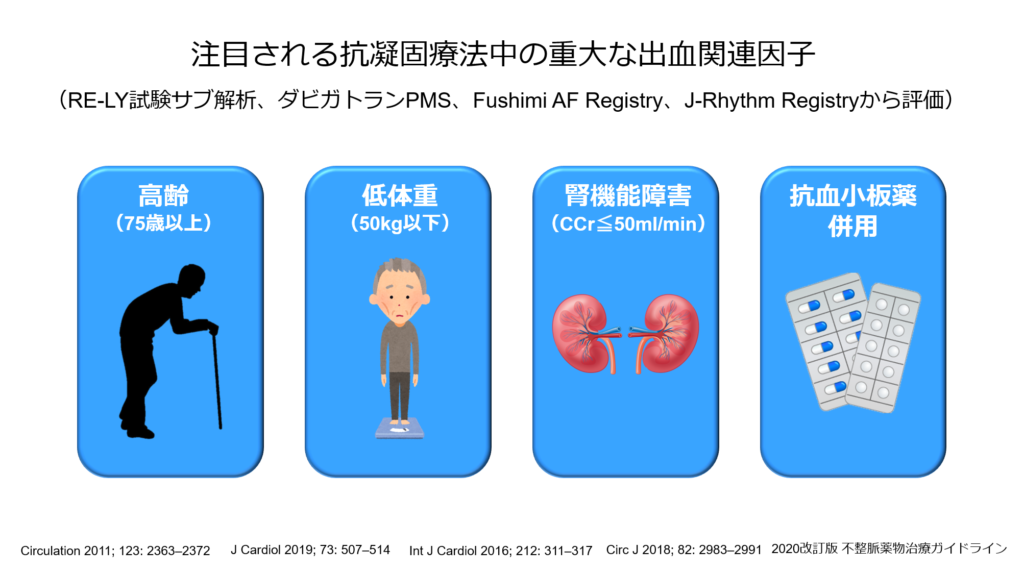  1.クルクマ